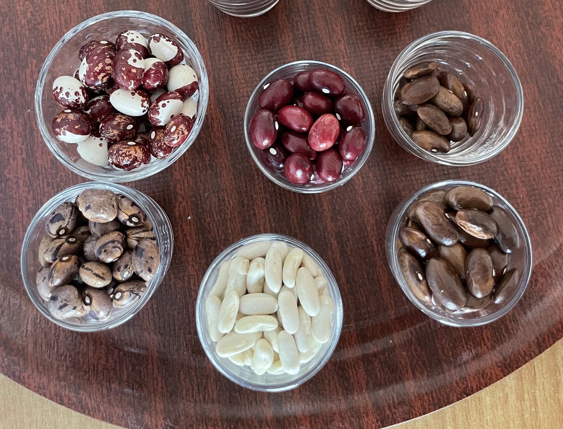 Vielfältiges Bohnensaatgut