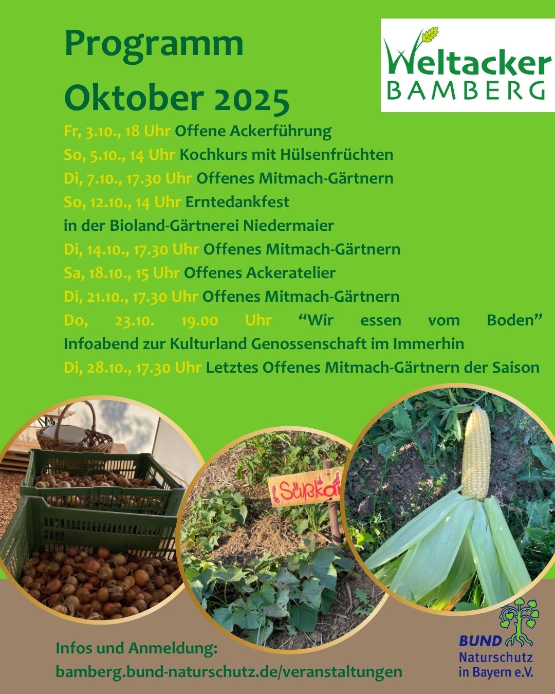Programm Oktober 2025